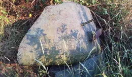 Fragment radzieckiego czołgu leży w chaszczach na Westerplatte