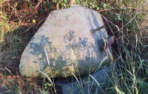 Fragment radzieckiego czołgu leży w chaszczach na Westerplatte