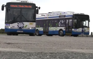 Kolejne dwa trolejbusy bez szelek w Gdyni