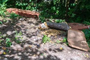 Park w Działkach Leśnych sprzątany tylko doraźnie