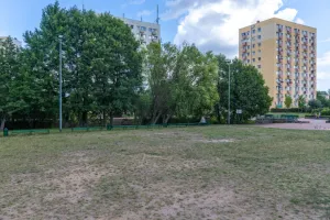 Zieleń w Gdyni. Zadbana tylko w centrum?