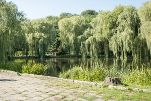 Fontanna i pomosty widokowe w Parku Oruńskim