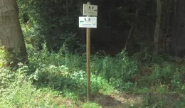 Leśne trasy rowerowe w Sopocie zostały oznakowane