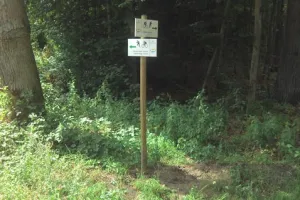 Leśne trasy rowerowe w Sopocie zostały oznakowane