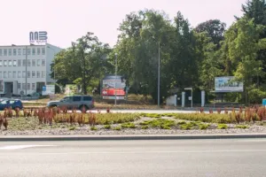 Nie budujmy tunelu pod Pachołkiem. 2 mld zł można wydać znacznie lepiej