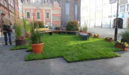 Gdańsk szuka miejskiego ogrodnika, romantyka i pragmatyka w jednym