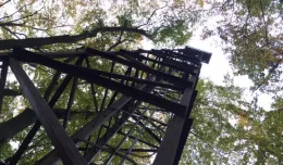 Leśna wieża: zapomniany relikt lotniska we Wrzeszczu