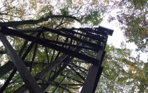 Leśna wieża: zapomniany relikt lotniska we Wrzeszczu