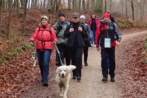 Aktywny weekend na spacerze, rowerze, w biegu