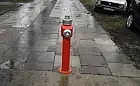 Kuriozalne hydranty znikną ze środka chodnika