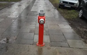 Kuriozalne hydranty znikną ze środka chodnika