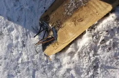 Zdemontowana latarnia na Morenie zagraża dzieciom