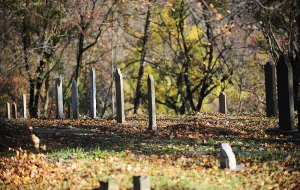 Zniszczono nagrobki na cmentarzu żydowskim