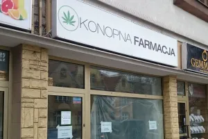 Chcą sprzedawać produkty z konopi. Legalnie