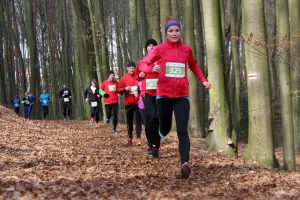 Rekordy trasy na zakończenie City Trail
