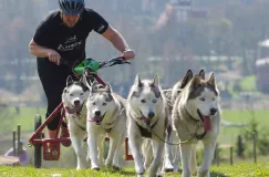 Igor Tracz zaprasza na wyścigi w bikejoringu