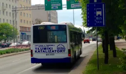 Kilkaset aut dziennie na buspasie w centrum Gdyni