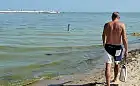 Sinice na 11 plażach w Trójmieście. Zakaz kąpieli