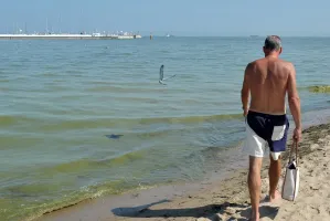 Sinice na 11 plażach w Trójmieście. Zakaz kąpieli