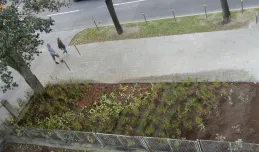 Mieszkańcy zmienili dziki parking w miejski ogródek