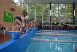Wystartuj w pływackich mistrzostwach Polski dla amatorów