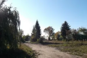 Działka na Wzgórzu na sprzedaż. Cena wywoławcza 11 mln zł