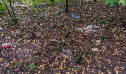 Mieszkańcy posprzątają zaniedbany park w Orłowie