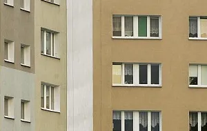 Jak wybrać dobre okno?
