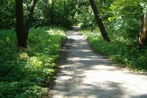 Park Brzeźnieński: remont zamiast spaceru