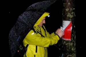 Szago i nocne żaby w butach