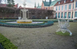 Trawa w Parku Oliwskim ofiarą sukcesu iluminacji