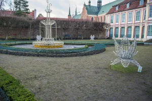 Trawa w Parku Oliwskim ofiarą sukcesu iluminacji