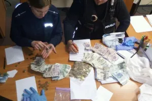 Rodzina oszustów wyciągała pieniądze z puszek WOŚP