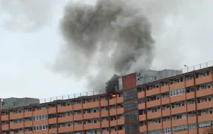 Dwa pożary mieszkań w falowcu na Przymorzu
