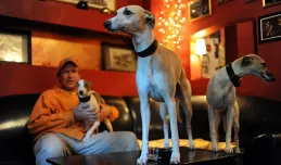 Pies też klient, czyli które lokale można odwiedzić z czworonogiem