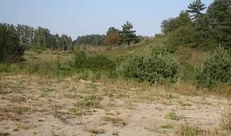 Gdynia sprzedaje grunty w Internecie