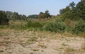 Gdynia sprzedaje grunty w Internecie
