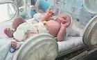 Noworodki i wcześniaki pod najlepszą opieką. Skandynawski program zmienił neonatologię na Zaspie
