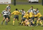 W rugby - 3 : 1 dla Trójmiasta