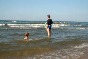 Glonowe wybrzeże
