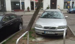 Gdynia: jak skończyć z samowolą parkingową?