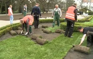 Ruszyło układanie nowych trawników w Parku Oliwskim