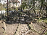 Prace w parku niepokoją mieszkańców Gdyni