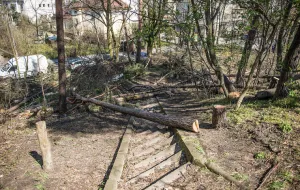 Prace w parku niepokoją mieszkańców Gdyni