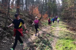 Niemal 500 osób poszło w las dla zwierzaków