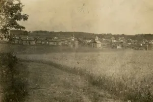 Poznaj pełną tajemnic historię Witomina