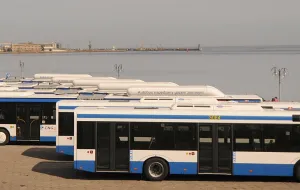 Gdynia stawia na gazowe autobusy