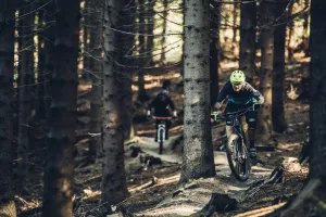 Przetestuj darmowo rowery Kross