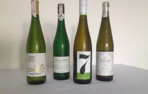 Sommelier radzi: testujemy białe wina z Biedronki i Lidla