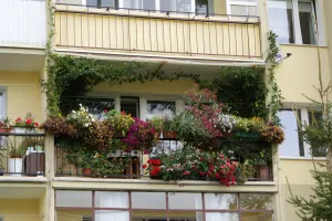 Konkurs. Najpiękniejszy gdański balkon lub przedogródek
